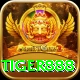 tiger888 Premium Plus vv3.4.7
