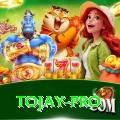 tojay Games (Casino & Earning) Master v2.0.7