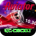 uc cricket Pro