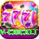 v cricket Pro1 v1.9.8