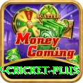 v cricket Live Casino King