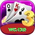 wc t20 Apps (Tools & Injectors) Premium v1.2.8