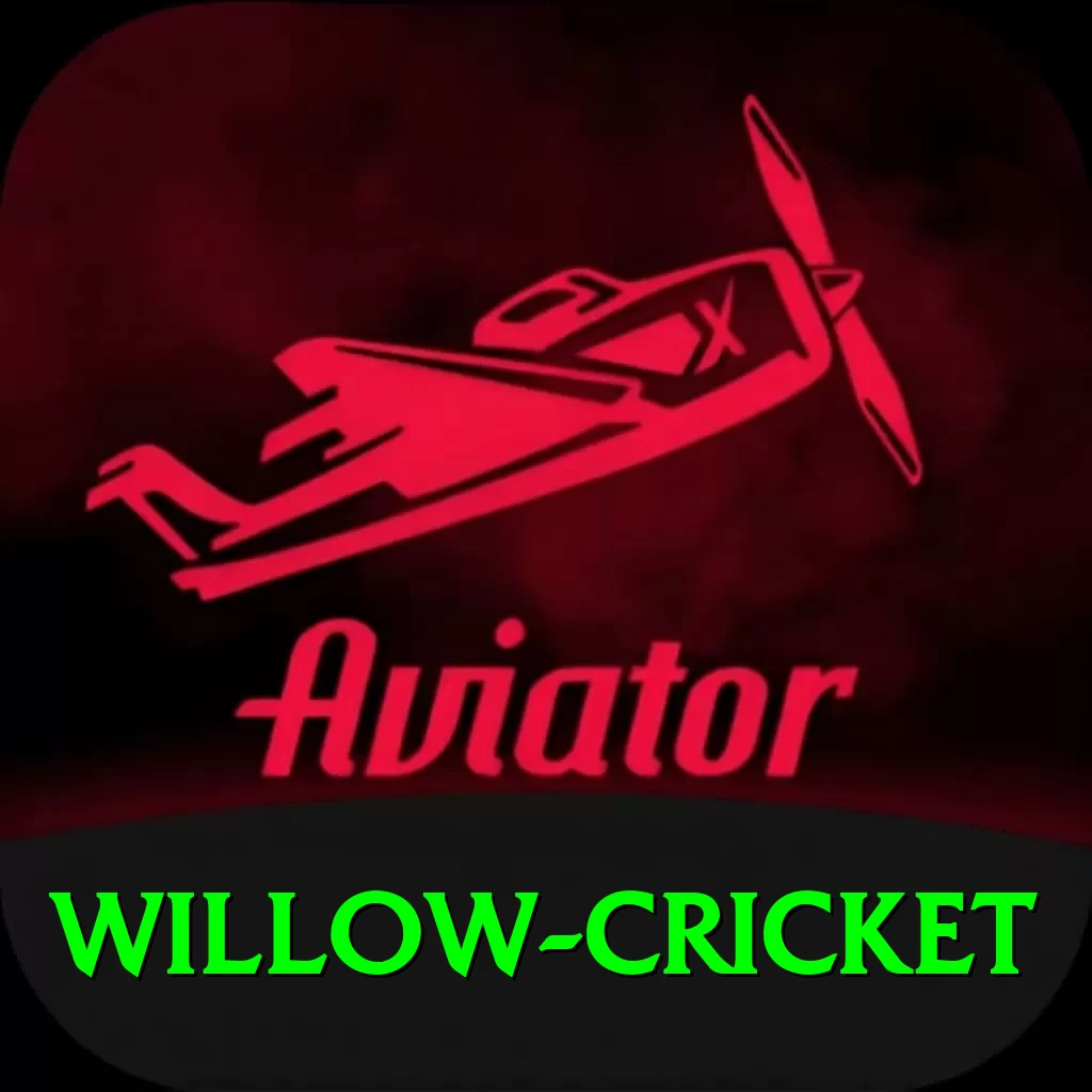 willow cricket Deluxe Pro v2.6.5 - 2