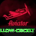 willow cricket Deluxe Pro v2.6.5