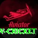 willow cricket Deluxe Pro v2.6.5
