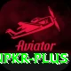 winpkr Plus v3.7.0